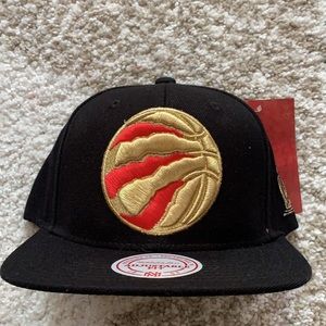 New raptors hat - Mitchell and ness